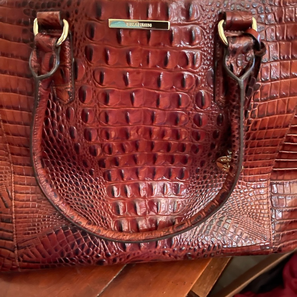 Brahmin purse